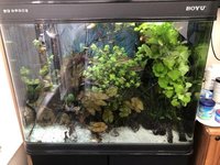 200 litre Fish Tank BARGAIN