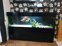 7ft aquarium full set up