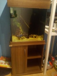 CLEAR SEAL 165 LITRE DARK WALNUT AQUARIUM + heater and filter