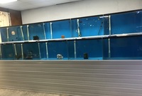 Aquatic Shop Systems & Contents For Sale