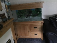 Aquarium & all equipment