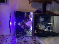 Aqua one Aqua Nano 100 ( 100 litres) complete with stand