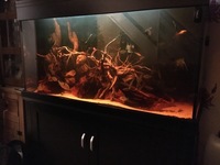 Aqua One 400ltr tank full set up