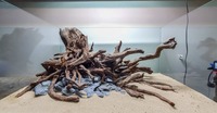 Aquarium Roots, Driftwoods Red Moore over 100 pieces available to order