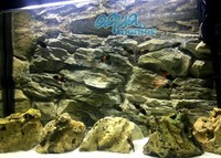 Aquarium Backgrounds REAL 3D FOR ANY AQUARIUM or Viv