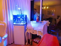 Red sea reefer 170 aquarium white cabinet & Equipment .