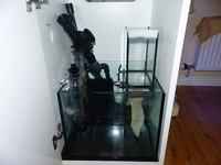 Red sea reefer 170 aquarium white cabinet & Equipment .