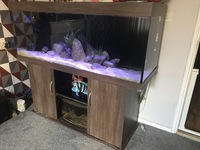 5ft 450L juwel tank £500 Ono give me a text 07366415877