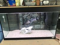 X5 Fish tanks