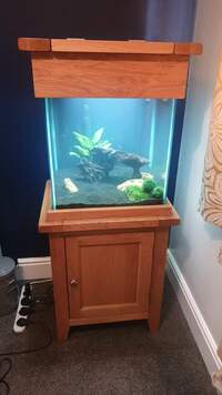 Aqua Oak Small Cube Aquarium