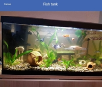 60liters tank