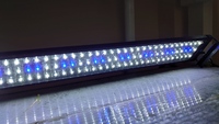 50cm Aquarium LED Lighting Aqua Fish Tank Blue+White Light Over-Head Lamp