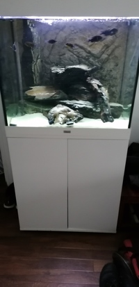 200 liter jewel lido