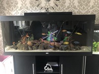 5ft jewel tank full set up