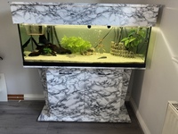 Fish aquarium 4ft