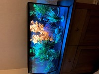 Fluval Flex 123 Freshwater tank