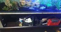 6ft x 2ft x 2.5ft 850ltr aquarium