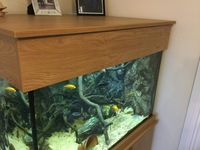 Large Aquarium, stand and hood, REDUCED PRICE