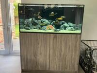 Aqua marine aquarium for sale all fish included listed below