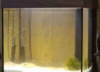 Juwel Lido 120 liter tank