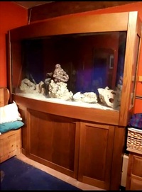 Huge bow front unique fish tank