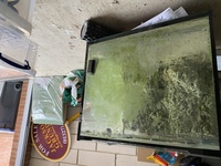 Fish tank and sump