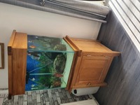 Oak Fish tank includes Discus