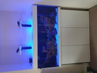 Marine tank full set up