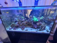 Ea1200 Pro complete marine set up