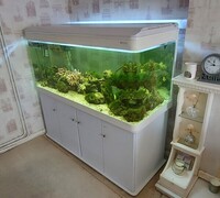 White Marine Tank 5ft