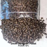 Affordable Pellets, Cichlid Sticks, Catfish Pellet & Sturgeon Pellets.