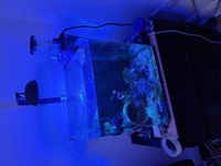 Aqua one nano 55l full set up