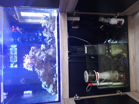 Complete Marine Aquarium