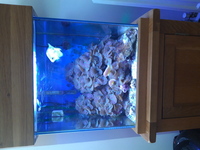 Complete Marine Aquarium