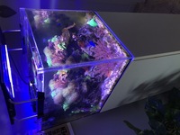 Custom made marine tank