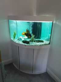 JEWEL 190 WHITE CORNER AQUARIUM