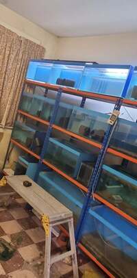 various fish tanks available