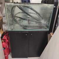 Fish Tank to go London N1