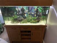 Oak style aquarium - job lot, high spec