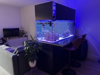 Stunning Peninsula Tank with Breakfast Bar - FULL SETUP