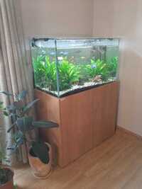 Beautiful, bespoke tropical aquarium, 220 litre,