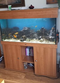 ND Aquatics 4 ft x 2ft x18 Tank , cabinet and Lights