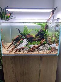 EA Aquascaper 600 Full Set Up £450