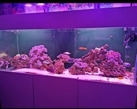 Closing down marine tank