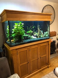 Bespoke solid oak large aquarium