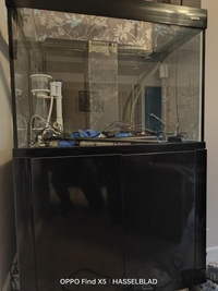 Aquarium and all accessories Aqua One AquaReef 300 series 2 - £250