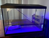 Aquael LED 72L Day and Night light with heater and filter