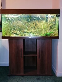 Juwel 180 Aquarium and stand