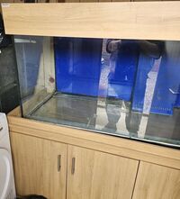 Marine tank For sale