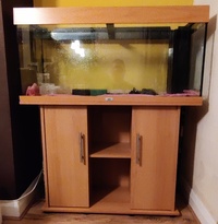 Juwel Rio 180 Tank + Stand beach - Doncaster - £150